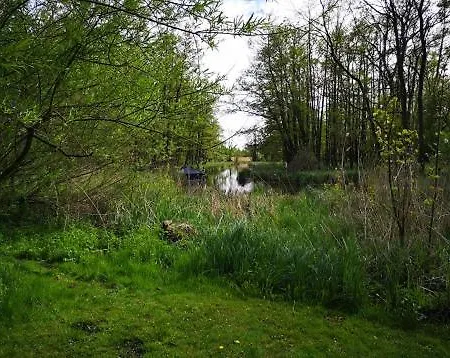 Eden Peene Und * Gutzkow